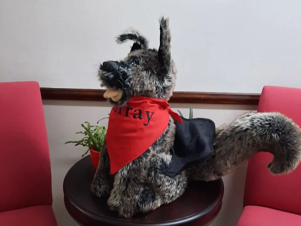 mascot